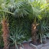 01_05_2026 (1)